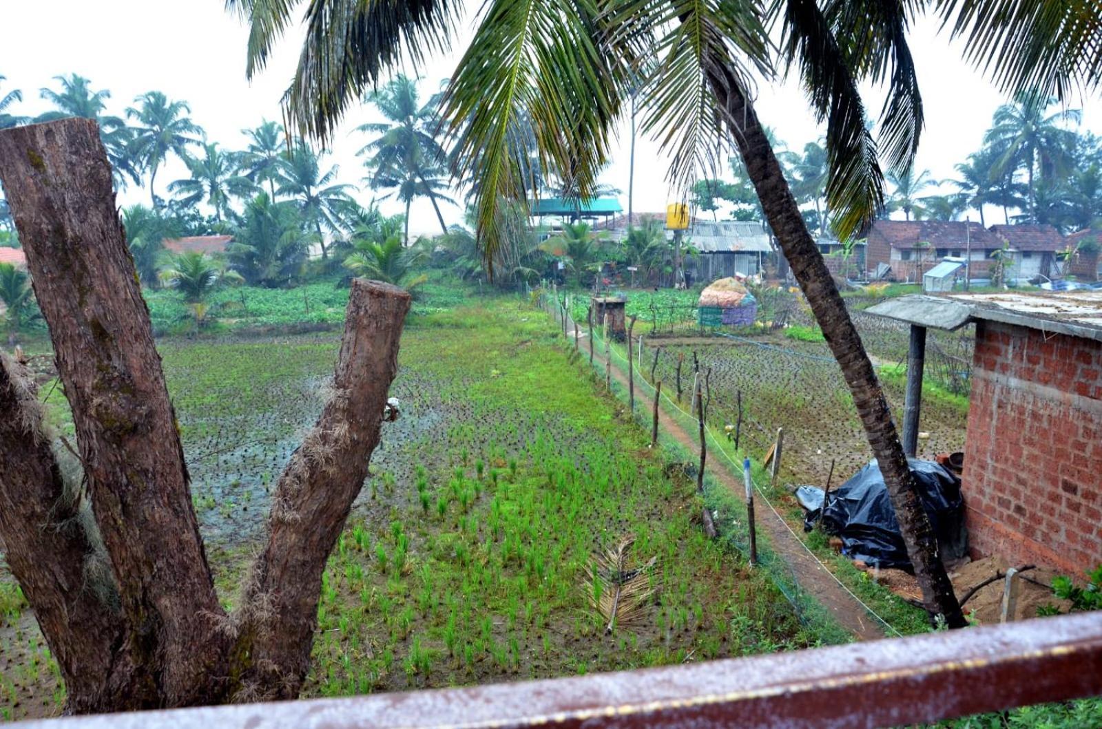 Kenchas Beach Resort Gokarna (Karnataka) Exterior foto