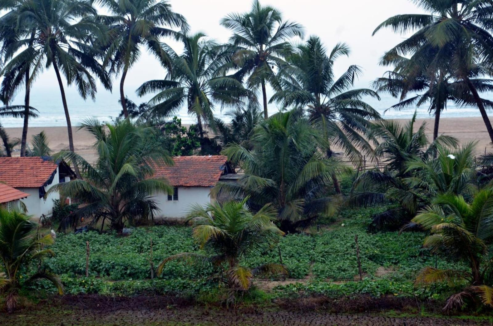 Kenchas Beach Resort Gokarna (Karnataka) Exterior foto